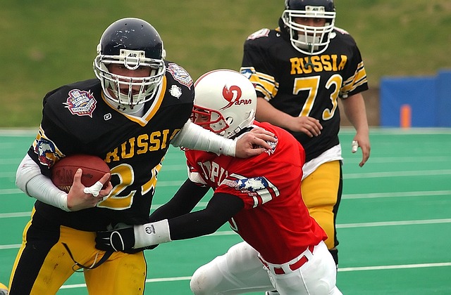 球迷的目光 球迷的目光