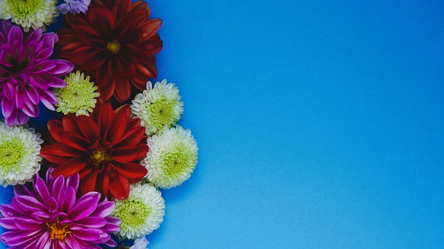 探索并发现 探索并发现