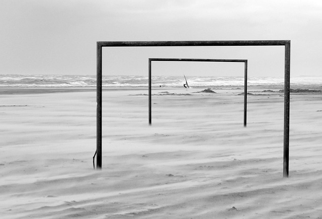 友情珍貴 友情珍貴